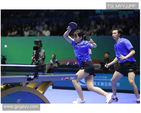 乒乓球的魅力与策略：深入解析杭州乒乓球队的技术控制与战术布局