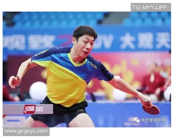 杭州乒乓球队区域防守策略分析及其在比赛中的成效与不足探讨 杭州乒乓球队区域防守策略分析及其在比赛中的成效与不足探讨