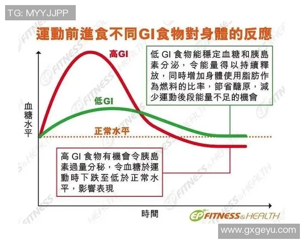 杭州排球队耐力提升之道探讨与训练策略分析 杭州排球队耐力提升之道探讨与训练策略分析
