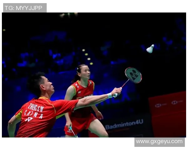 杭州羽毛球队的阵地战解析与未来发展展望