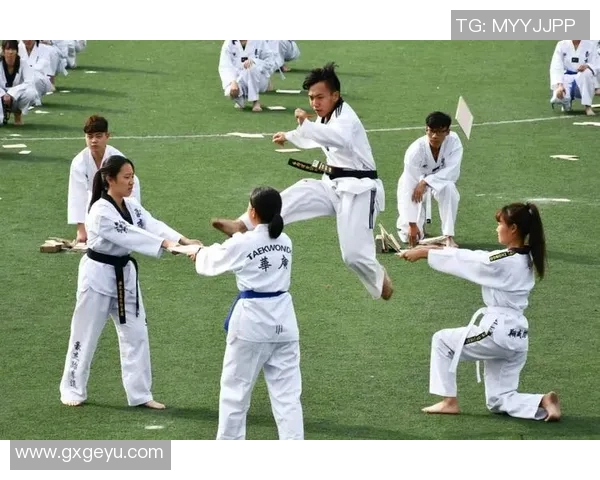 广州网球队进攻体系解析：网球战术的创新与实践探讨