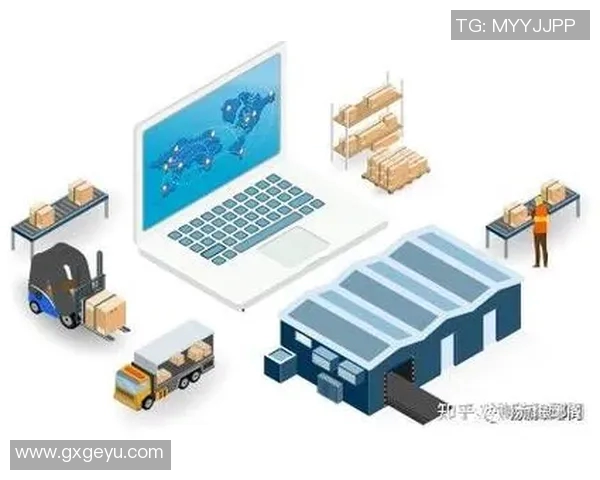 广州排球队运营模式解析与发展策略探讨 广州排球队运营模式解析与发展策略探讨