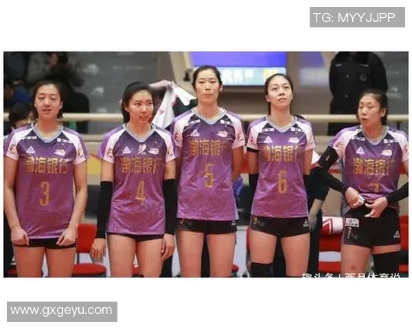 深圳排球队员个人能力深度对比分析与发展潜力探讨 深圳排球队员个人能力深度对比分析与发展潜力探讨