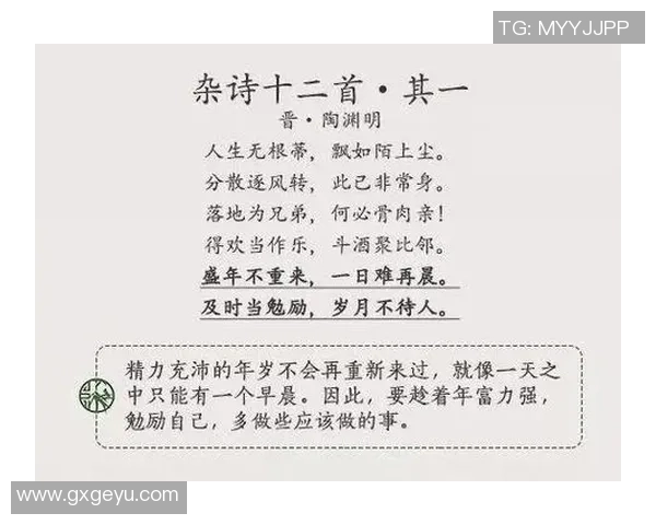 足球明星的伤感瞬间九幅图片展现他们背后的故事与情感