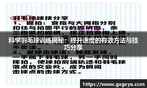 芒果体育